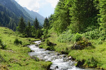 Alpine Landscape of Tyrol Alps. Stream flowing. by havelmomente