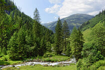 Austrian alps in summertime. Stream flowing. von havelmomente