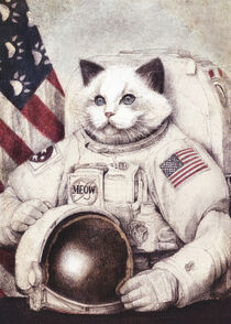 Meow Out in Space by Mike Koubou