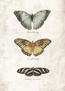 butterflies VII von Mike Koubou