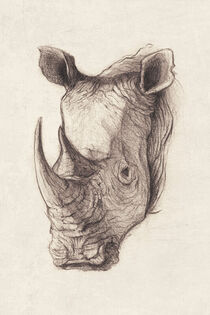 Rhinoceros von Mike Koubou