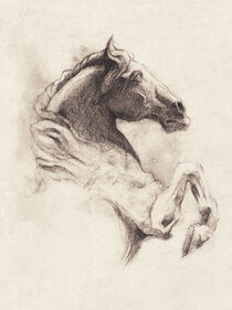 Horse von Mike Koubou