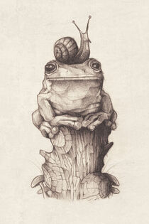 Frog and Snail by Mike Koubou