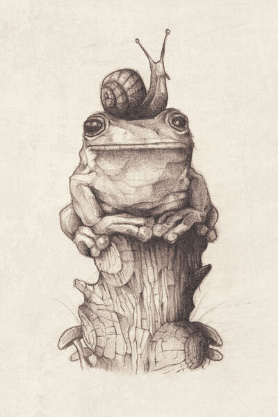 Frog-and-snail