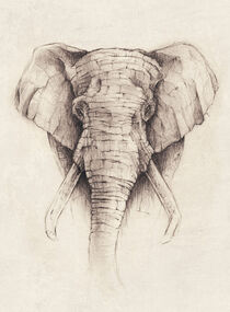 Elephant von Mike Koubou