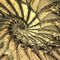 20aug-golden-fractal