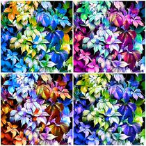 Collage Herbstblätter als Fotokunst von assy