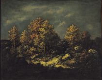 The Jean de Paris Heights in the Forest of Fontainebleau von Narcisse Virgile Diaz de la Pena