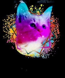 Katze froh farbig von Roger Naef