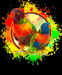 Vögel farbig und anmutend by Roger Naef