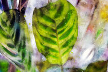 Topfblume im Aquarellstil von Petra Dreiling-Schewe