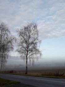 Wenn der Tag aus dem Nebel erwacht III by Anja  Bagunk