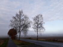 Wenn der Tag aus dem Nebel erwacht II by Anja  Bagunk