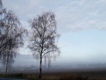 Wenn der Tag aus dem Nebel erwacht I von Anja  Bagunk