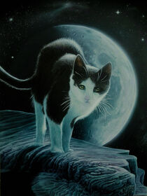 Katze im Mondschein von Ridzard  König
