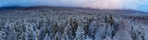Bayrischer Wald im Winter von Dirk Rüter