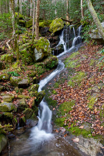 Small Waterfall In Forest by Phil Perkins