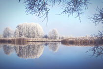 Wasserspiegelung bei winterlichem Wetter an der Havel. Havelland. von havelmomente