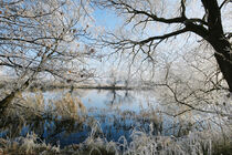Winterliches Havelland. Raureif über dem Fluss Havel. von havelmomente