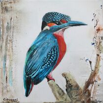 Eisvogel / kingfisher by Gertrud Uhr