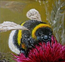Hummel / Bumblebee by Gertrud Uhr