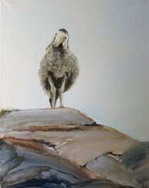 Schaf / sheep  by Gertrud Uhr