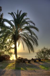 Israel: Sonnenaufgang am See Genezareth bei Tabgha / Sea of Galilee von Berthold Werner
