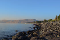 Israel: Morgenstimmung am See Genezareth bei Tabgha/ Sea of Galilee von Berthold Werner