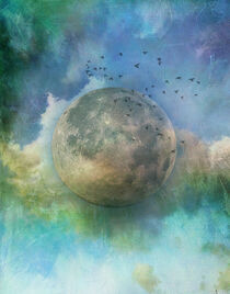 Everyone is a moon by Anne Seltmann