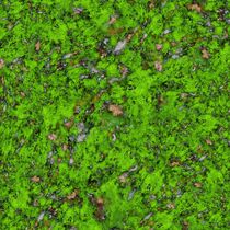 Big mossy wall von Keith Mills