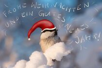 Ein Vögelchen wünscht Frohe Weihnachten und ein gutes neues Jahr von Intensivelight Panorama-Edition