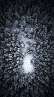 Snowy-forest-in-the-jizera-mountains
