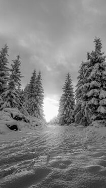 Winter in the Jizera Mountains von Tomas Gregor