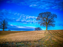Kintbury Tree by Mark Llewellyn