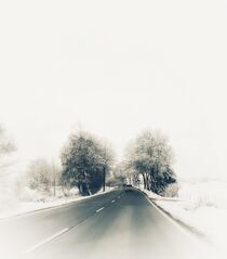 Winter Wonderland  by susanne-seidel