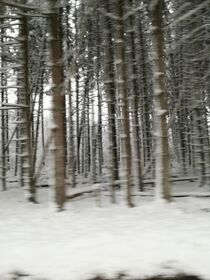 Winter Wonderland  von susanne-seidel