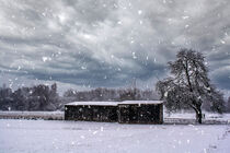 Walk through a snowy landscape von Michael Naegele