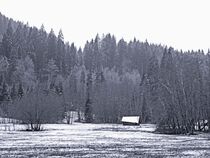 Waldhütte im Winter by vogtart