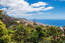 Blick auf Funchal auf der Insel Madeira von Rico Ködder