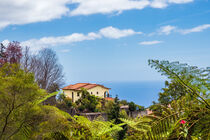Blick auf ein Haus in Funchal auf der Insel Madeira von Rico Ködder