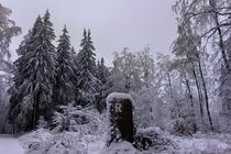 Winterwald von mario-s