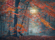 Late Autumn by William Schmid
