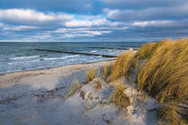 Buhnen an der Küste der Ostsee auf dem Fischland-Darß by Rico Ködder
