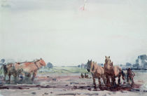 Plough Horses  by Harry Becker