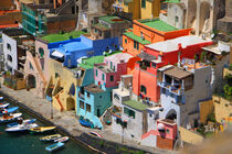 colorful houses of  Procida