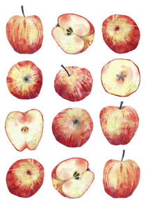 Apples by Nic Squirrell