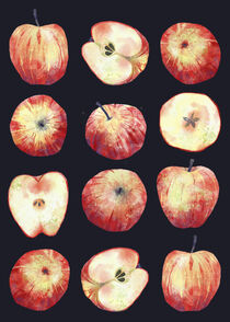 Apples in the Dark by Nic Squirrell