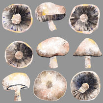 Mushrooms von Nic Squirrell