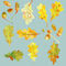 Oak-leaves-and-acorns-teal-8000