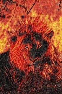 Mighty lion in the fire
